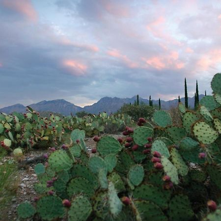 Canyon Ranch Tucson Mount Lemmont Exterior photo