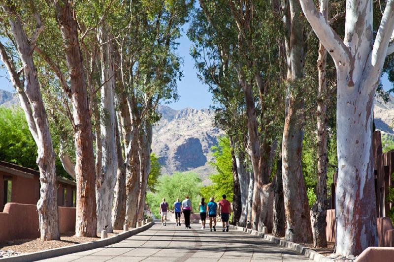 Canyon Ranch Tucson Mount Lemmont Exterior photo