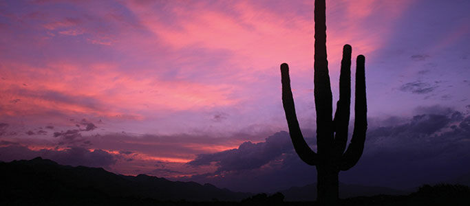 Canyon Ranch Tucson Mount Lemmont Exterior photo